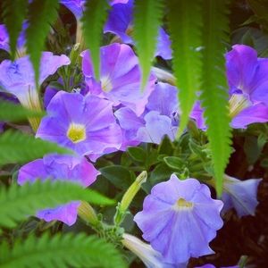 Meet your Posher, Kern